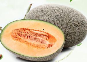 网红哈密瓜能放多久吃,保鲜技巧揭秘,教你如何延长美味时光 第1张 网红哈密瓜能放多久吃,保鲜技巧揭秘,教你如何延长美味时光 第1张