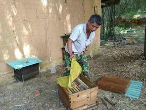 娱乐吃瓜酱贫困户,揭秘贫困户背后的真实故事 第3张 娱乐吃瓜酱贫困户,揭秘贫困户背后的真实故事 第3张