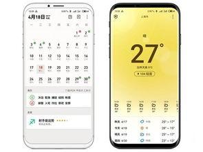 今日爆料手机最新视频播放,视频播放体验再升级，震撼来袭！